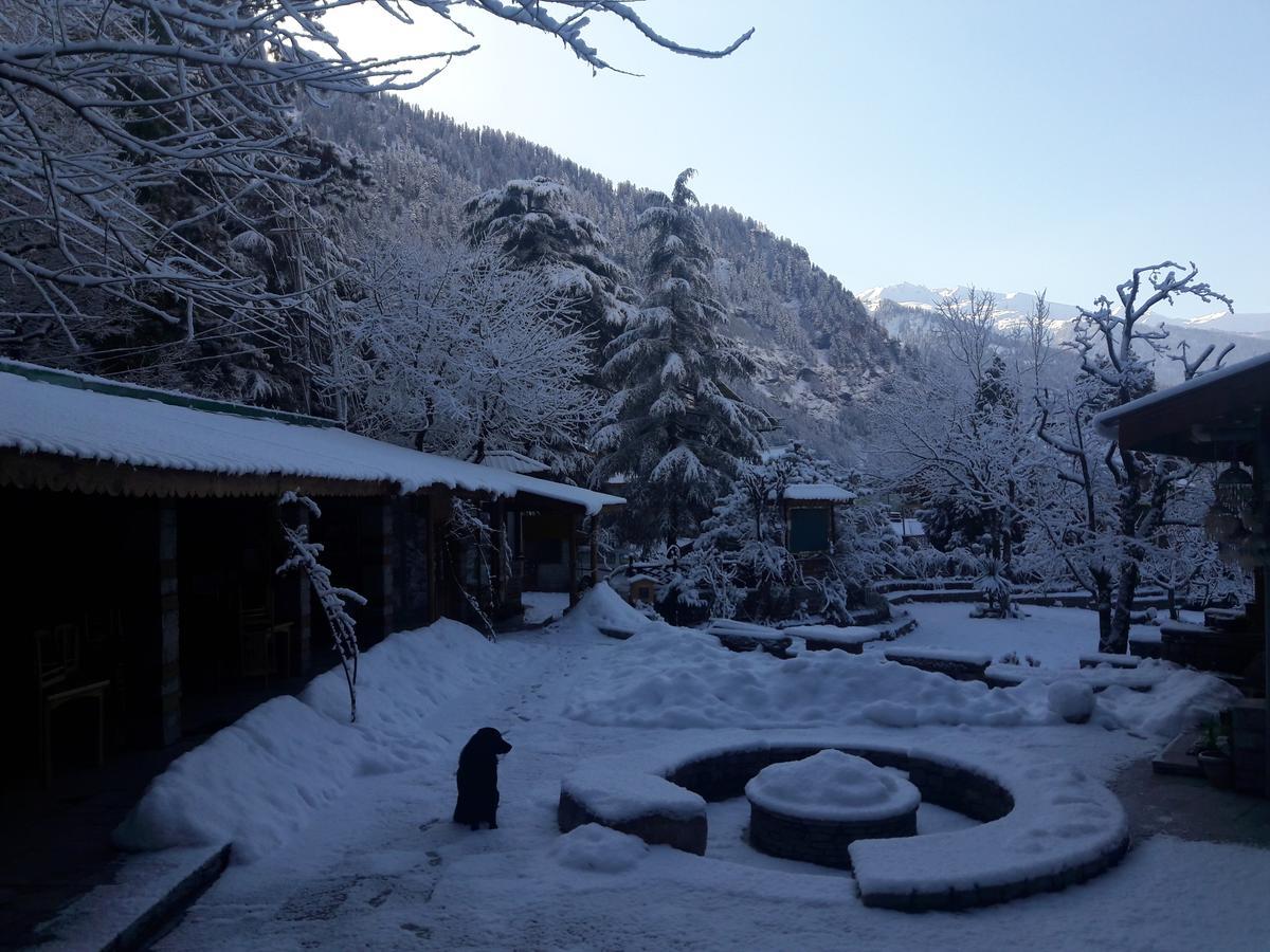 Johnson Lodge & Spa Manali  Luaran gambar